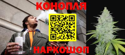 крисы Заводоуковск
