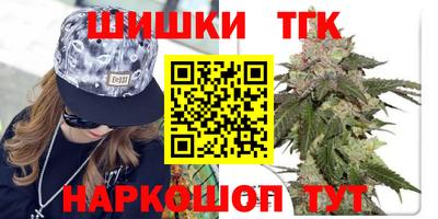 гашик Жуковский
