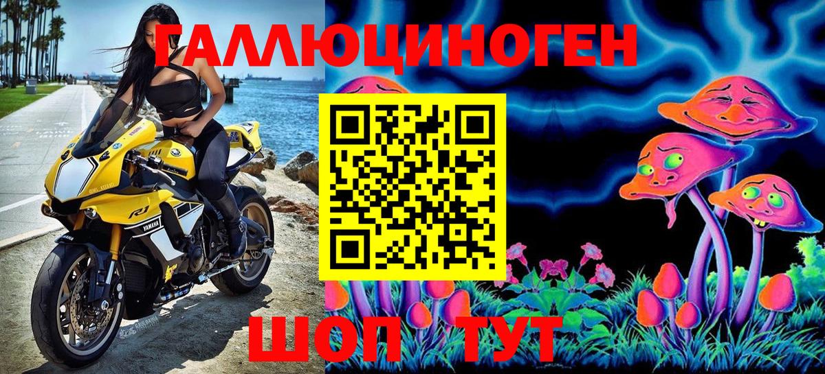 Галлюциногенные грибы Psilocybine cubensis Лениногорск