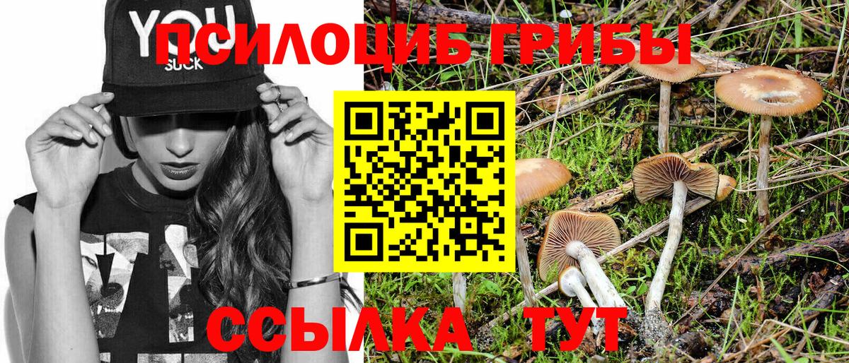 Псилоцибиновые грибы мухоморы  Вход с VPN  Лениногорск  Галлюциногенные грибы мухоморы 