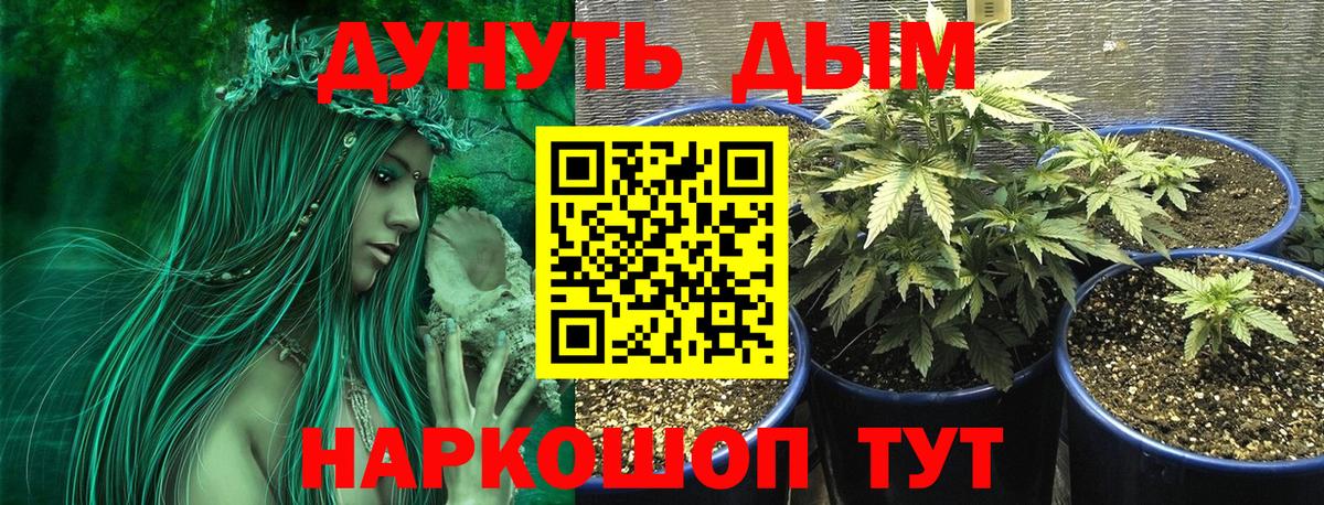 Бошки марихуана LSD WEED  Вход с VPN  Канабис MAZAR  Бошки марихуана план  Шишки марихуана SATIVA & INDICA  Лениногорск 